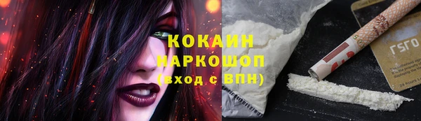 твердый Балахна