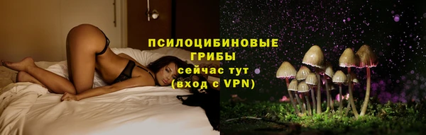 PSILOCYBIN Белокуриха
