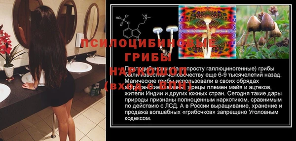 хмурый Белоозёрский
