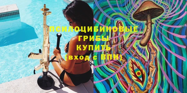 PSILOCYBIN Белокуриха