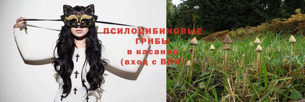 PSILOCYBIN Белокуриха
