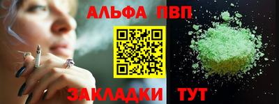гашик Кингисепп