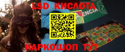 гашик Кингисепп