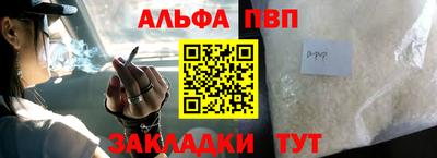 гашик Кингисепп