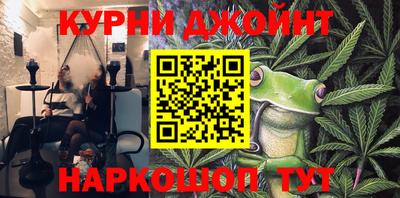 гашик Кингисепп