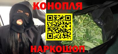 гашик Кингисепп