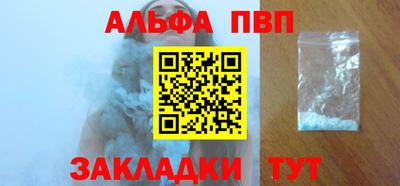 гашик Кингисепп