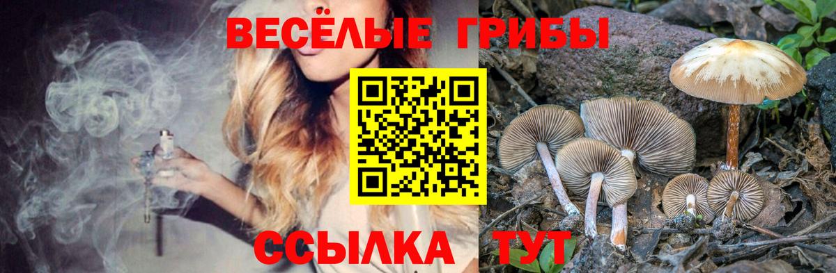 Краснокаменск  Галлюциногенные грибы GOLDEN TEACHER  Псилоцибиновые грибы мухоморы  Вход с VPN 