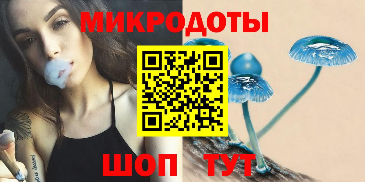 Галлюциногенные грибы Psilocybine cubensis Краснокаменск